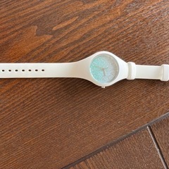 ICE Watch 