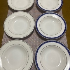 お皿6枚セット　カレー皿　パスタ皿　Royal Fernwood...