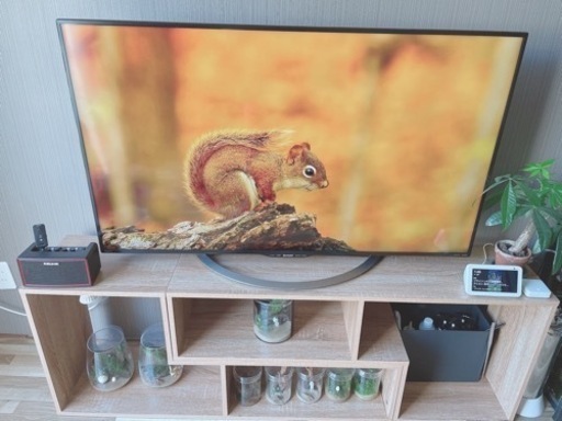 4K AQUOS 液晶テレビ　大画面50型　YouTube ネットフリックス対応