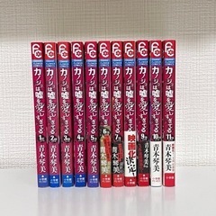 カノジョは嘘を愛しすぎてる 全22巻セット