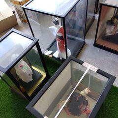 5月人形　ひな人形　博多人形の画像