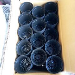 硬質ポットの画像