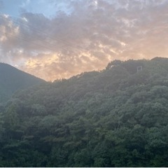 【自宅で簡単副業】ココナラで売れっ子占い師になるノウハウお教えします！の画像