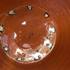 取引中みずかめ　水瓶　大型　鉢　メダカの画像