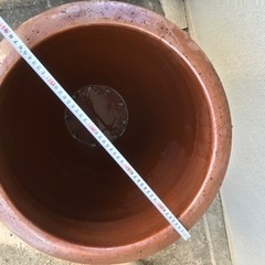 取引中みずかめ　水瓶　大型　鉢　メダカの画像