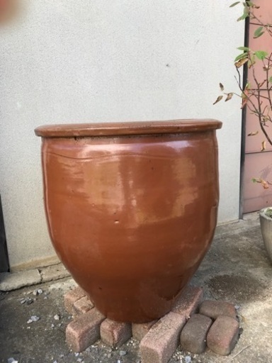 kame_ceramicpot.jpg