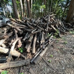 薪！キャンプ！ビールと交換希望！薪ストーブ　キャンパー　広葉樹の薪