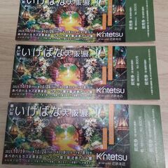 いけばな大阪展（10/19~10/24,あべのハルカス）入場無料券