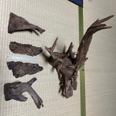 流木、コルク　まとめ売り