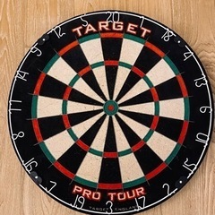 ダーツボード TARGET PRO TOUR 国産プロ用ブラケッ...