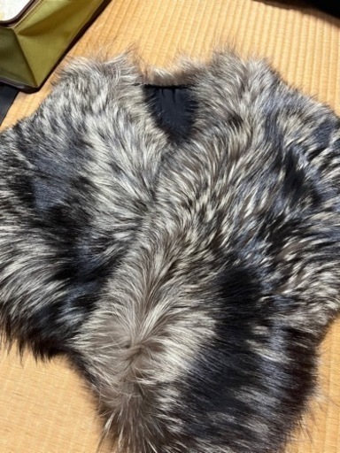 レディース SAGA FOX