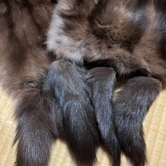 毛皮ショール　ロシアンセーブルの画像