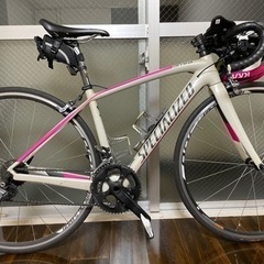 【48サイズ】Amira SL4 Comp | 2015年モデル