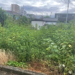草刈りの事でしたらお任せを‼️どこよりも低価格でやらせて頂きます！ - 霧島市