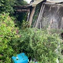 草刈りの事でしたらお任せを‼️どこよりも低価格でやらせて頂きます！ - 地元のお店