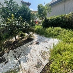 草刈りの事でしたらお任せを‼️どこよりも低価格でやらせて頂きます！ − 鹿児島県