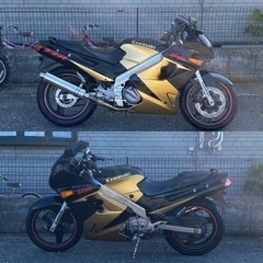 ⭐️早い者勝ち⭐️★オリジナルカラー★人気車種★Kawasaki★ZZR250★の画像