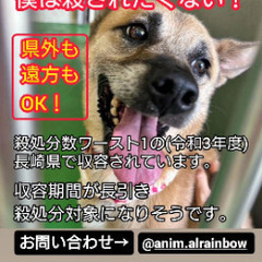 命を助ける　ボランティア募集 - 大村市