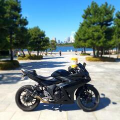 気まぐれ限定価格 SUZUKI GSX250R BLACK カスタム 絶好調+自賠責長 動画ありの画像