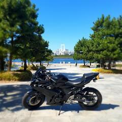 気まぐれ限定価格 SUZUKI GSX250R BLACK カスタム 絶好調+自賠責長 動画ありの画像