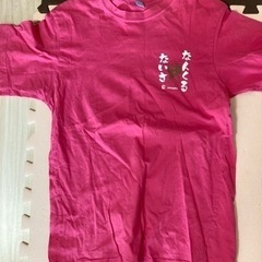 沖縄Tシャツ　Mサイズの画像