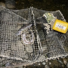 【九頭竜川中部漁協管区　活モクズガニ】　茹でガニや、みそ汁で、どうぞ
