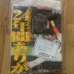 カープ　前田智徳引退　デイリー紙面レジャーシートの画像