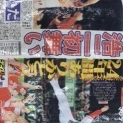 カープ　前田智徳引退　デイリー紙面レジャーシートの画像