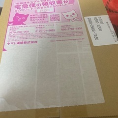 151 ポケモン　新品未開封