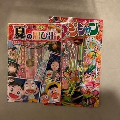 手持ち花火2袋夏祭り花火大会