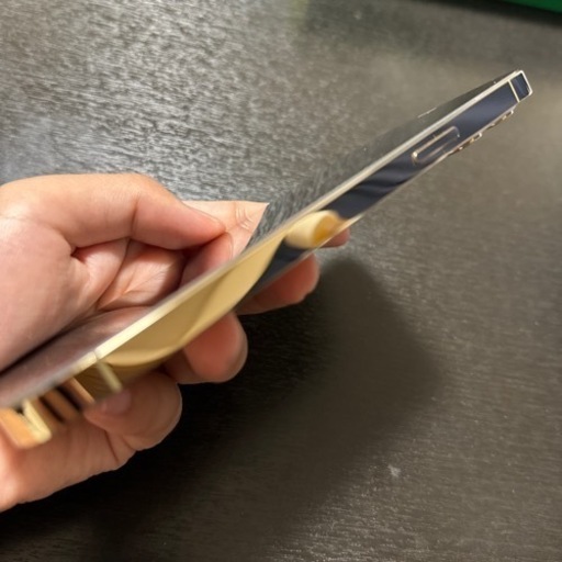 iPhone12 Pro Max