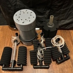 スポンジフィルター 他セット 水中 熱帯魚 ディスカス アピスト の画像