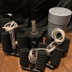 スポンジフィルター 他セット 水中 熱帯魚 ディスカス アピスト の画像