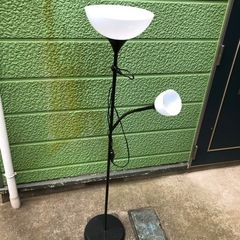 スポーツ ゴルフ