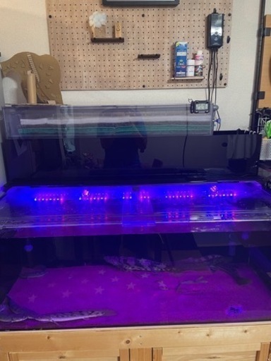 1200 水槽用　上部フィルター