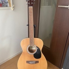 初心者用アコースティックギターLEGEND  FG-15N セット