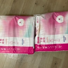 アテント　下着爽快