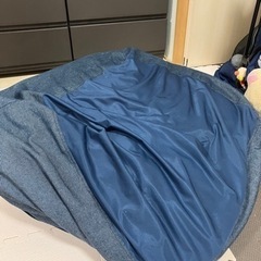 取引中　ダメにするクッションの画像