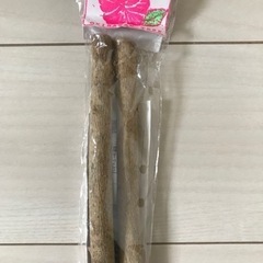 ハイビスカス🌺