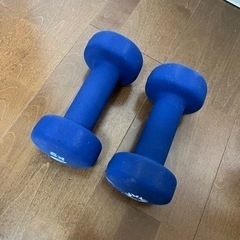 3kgのダンベル二個セットの画像