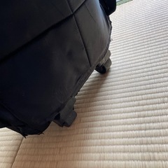 キャリーバッグの画像