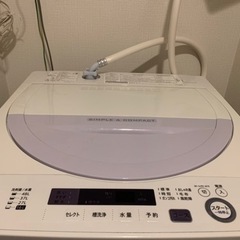 家電 生活家電 洗濯機