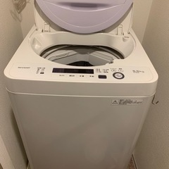 家電 生活家電 洗濯機