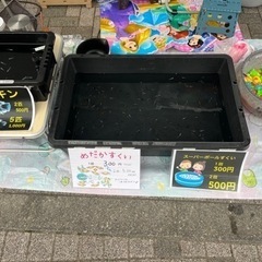 10月8日メダカ・スーパーボールすくい