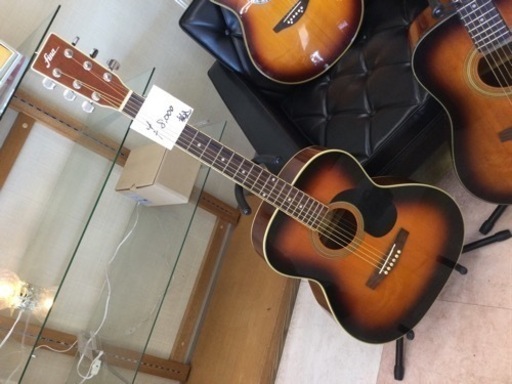 fina アコースティックギター