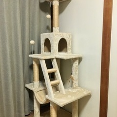 キャットタワー