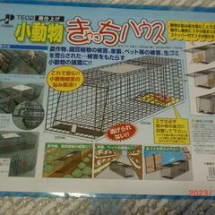 きゃち　ハウス