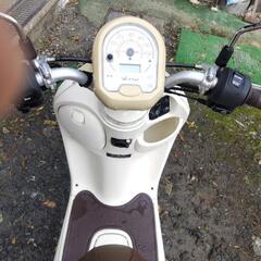 ビーノの画像
