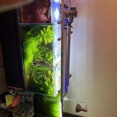 900水槽の画像