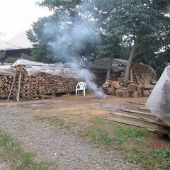 ワンコイン山盛薪（枝玉切）残５カゴ（樫、欅、クス、コナラ、マテバなど）乾燥済でも２５ｋｇ前後、薪ストーブ、キャンプ、薪割バト二ング台（径３－４０ｃｍ）プレゼント中の画像